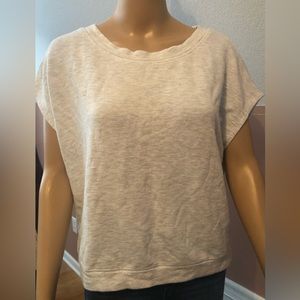 Fashion Nova Crop Top